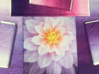 Dream Big Digital Panels and Ombre Studio